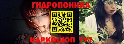 прущие крисы Абакан