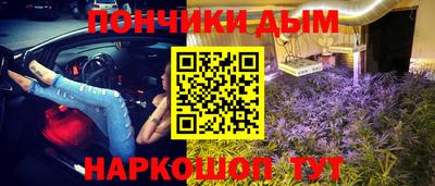 крисы Гай