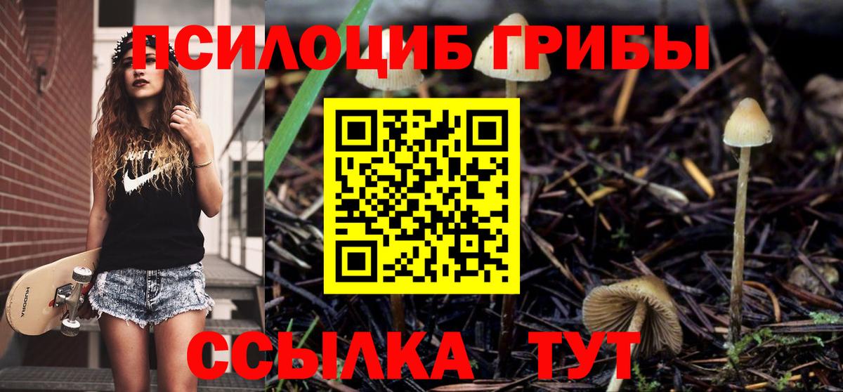 Галлюциногенные грибы мицелий  Азнакаево 