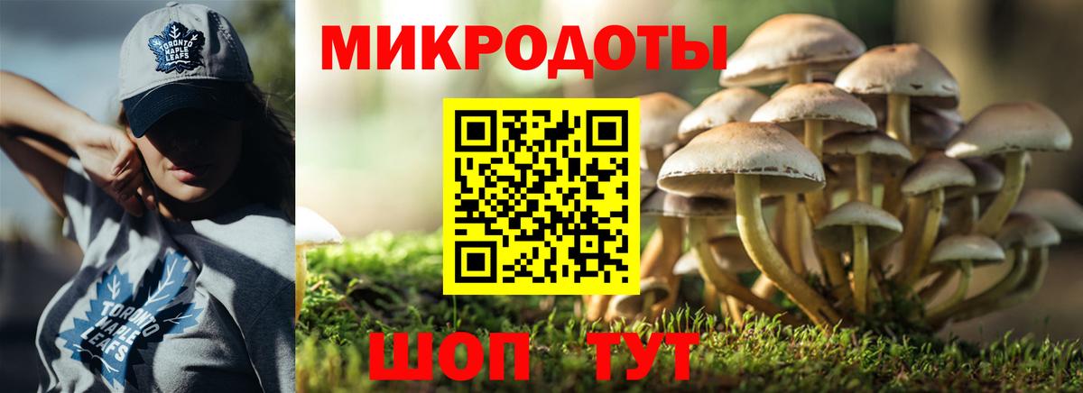 Псилоцибиновые грибы Psilocybe Азнакаево